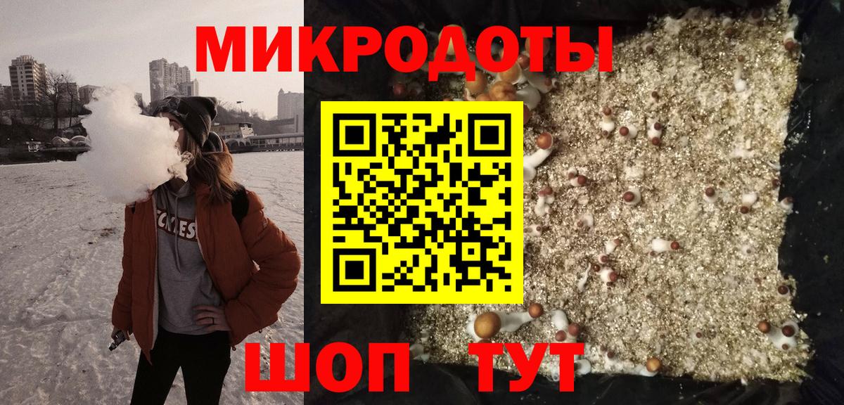 Галлюциногенные грибы Cubensis Кисловодск