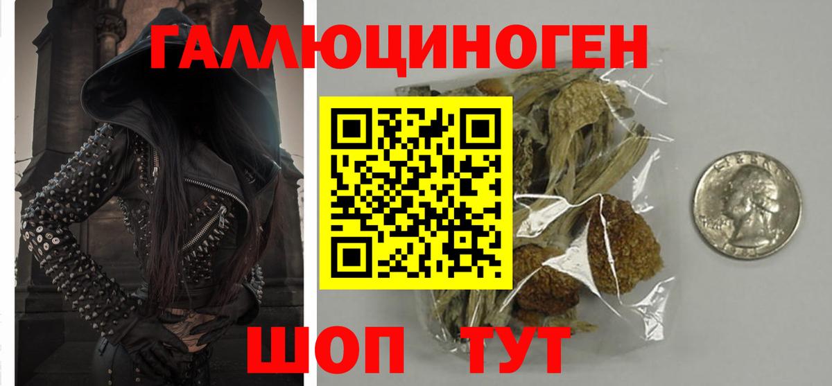 Кисловодск  Галлюциногенные грибы мухоморы  Вход с VPN 